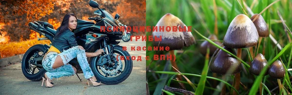 метадон Приозерск