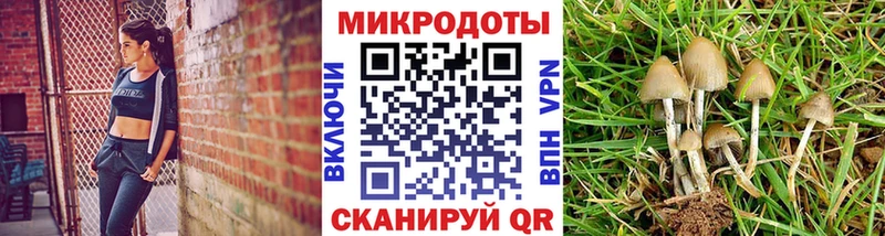 Купить закладки  Чехов  Галлюциногенные грибы MAGIC MUSHROOMS 